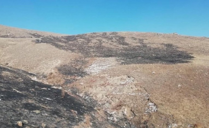 Иргэд анхаарал болгоомжгүйгээс шар өвсний түймэр гарчээ